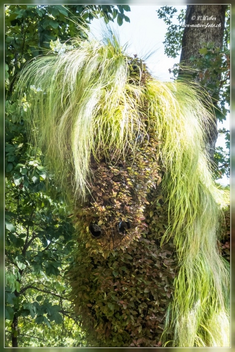27. Atlanta Botanical Garden