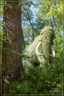 28. Atlanta Botanical Garden