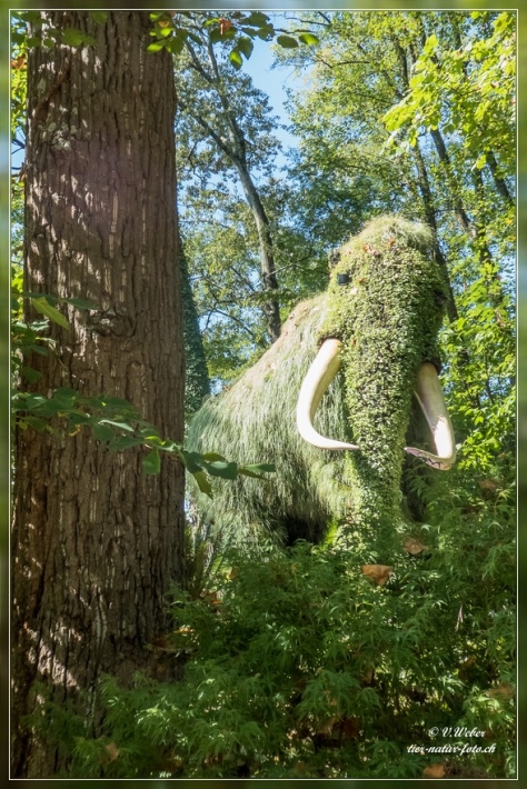 28. Atlanta Botanical Garden