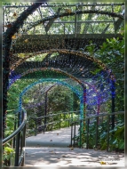 31. Atlanta Botanical Garden