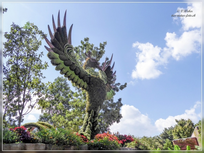 33. Atlanta Botanical Garden