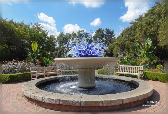 36. Atlanta Botanical Garden