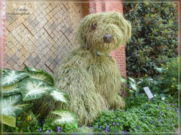46. Atlanta Botanical Garden