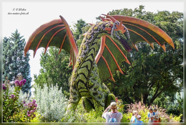 50. Atlanta Botanical Garden