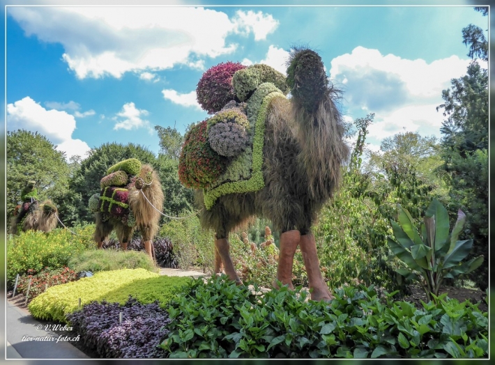 53. Atlanta Botanical Garden