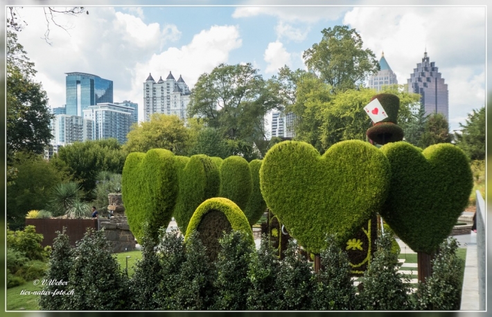 56. Atlanta Botanical Garden