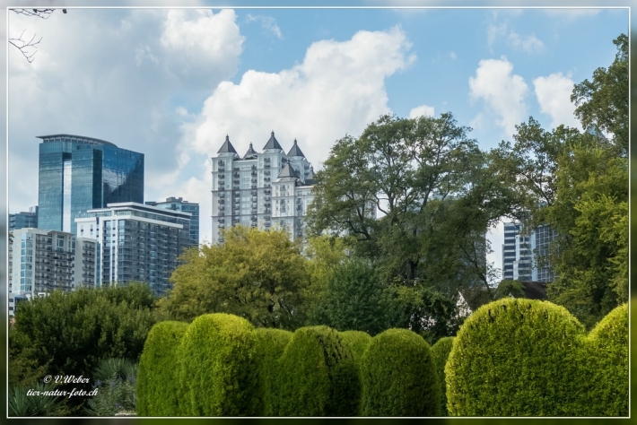 57. Atlanta Botanical Garden
