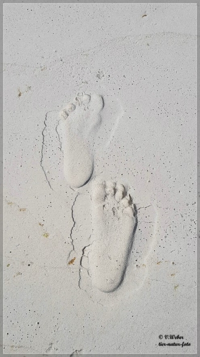 119