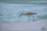 45