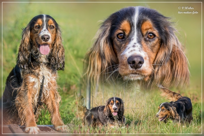 comp_bricks Kopie-3